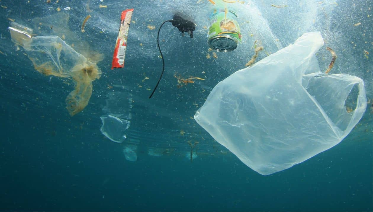 Fórum Setorial dos Plásticos – Por um Mar Limpo