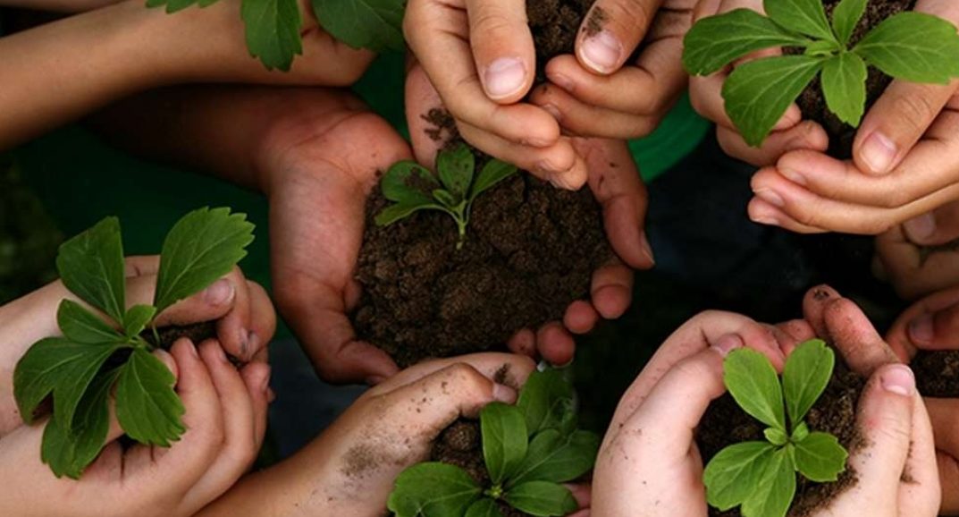 Especial Plastivida de Sustentabilidade será destaque na Plástico Brasil 2019 3