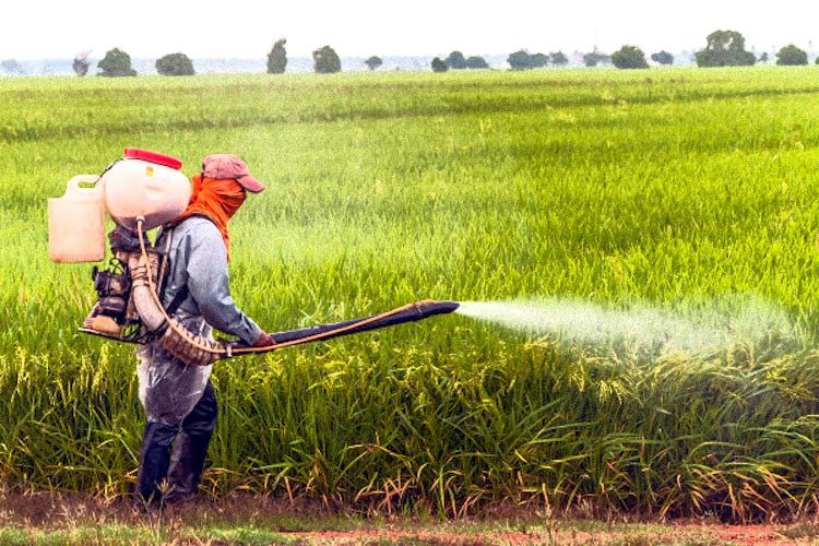 com a Proibição total do glifosato o pais se torna o primeiro no mundo