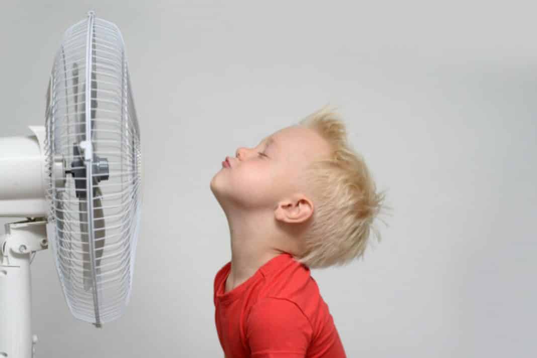 Verão e ventiladores: como escolher um modelo seguro e econômico 2