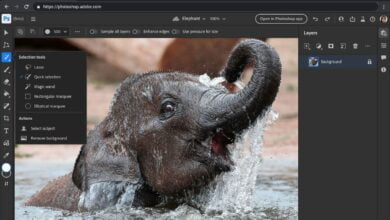 Adobe Homologa Plugin da Avctoris Para Photoshop e Illustrator 7