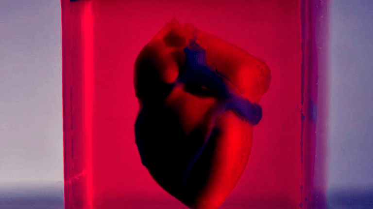 Primeiro coração impresso em 3D