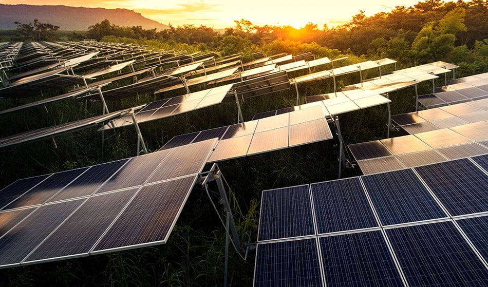 O início da revolução dos células solares orgânicas
