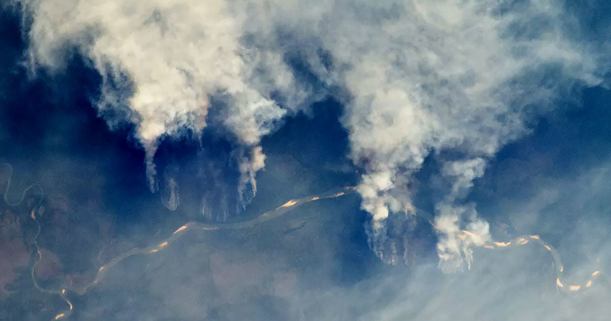 Incêndios na Amazônia está queimando a floresta tropical do Brasil. As chamas são tão sérias que são facilmente vistas do espaço.