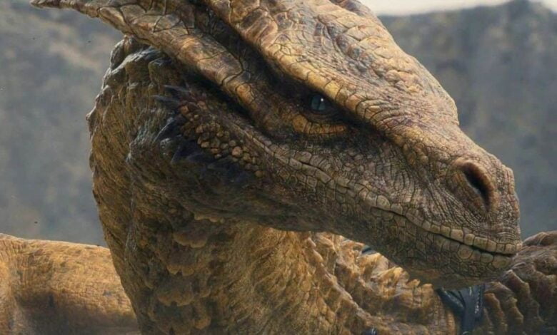 Olhos de dragão Como viam os seres mitológicos de House of the Dragon