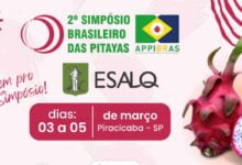 <strong>Piracicaba recebe 2º Simpósio Brasileiro das Pitayas APPIBRAS</strong> 9